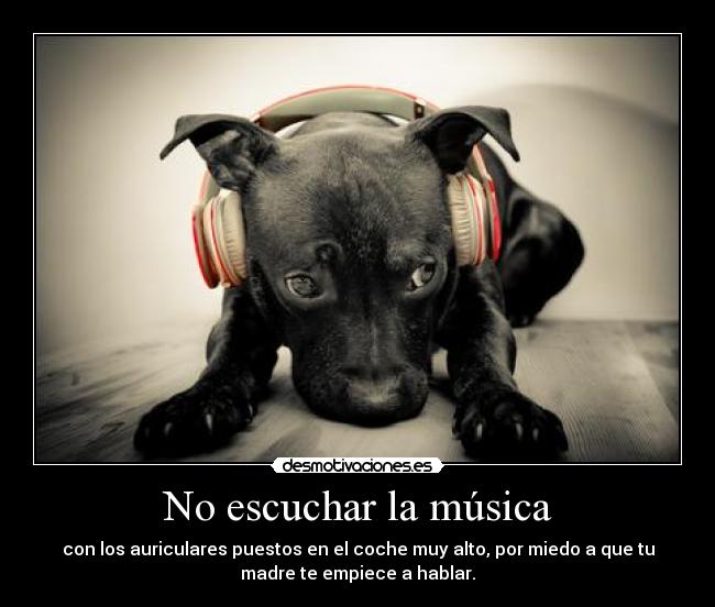 carteles musica puraverdad desmotivaciones