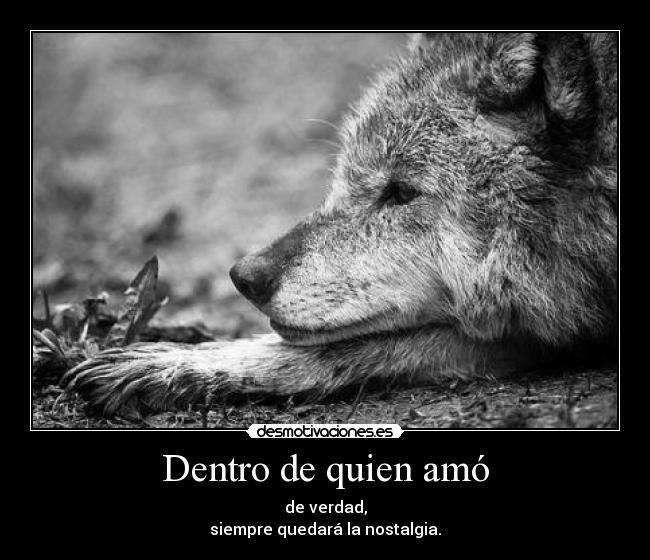 Dentro de quien amó - de verdad,
siempre quedará la nostalgia.