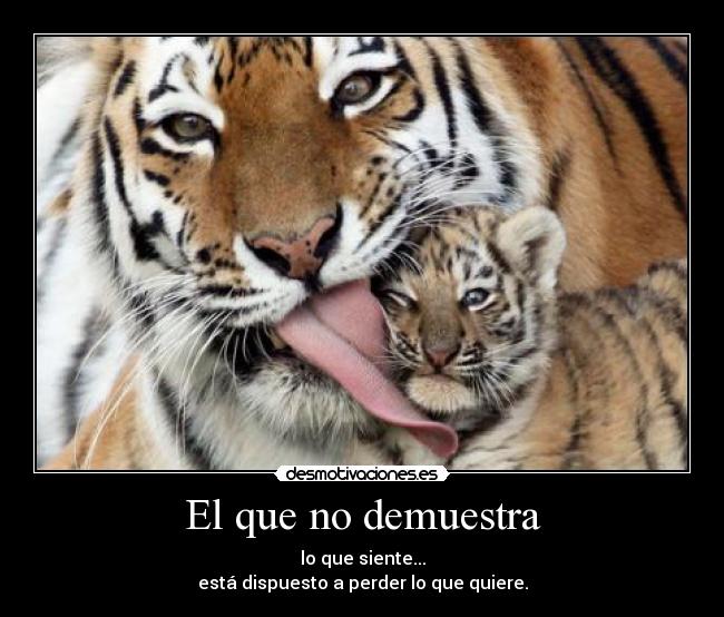 El que no demuestra - lo que siente...
está dispuesto a perder lo que quiere.