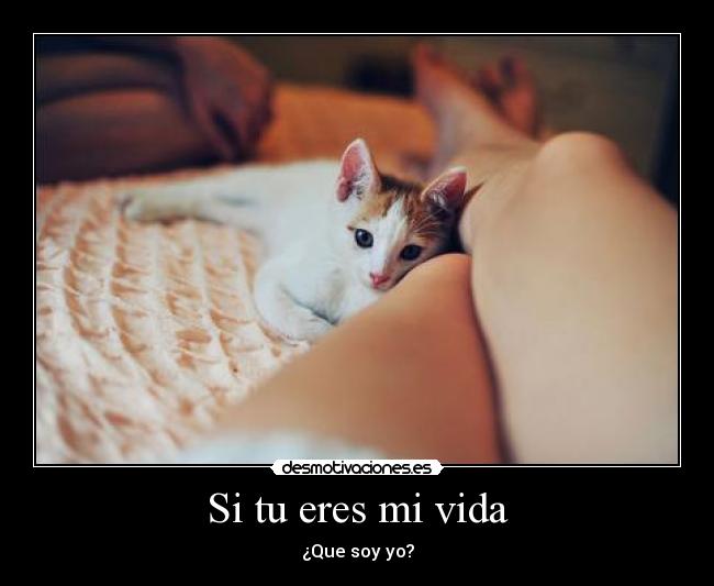 Si tu eres mi vida - ¿Que soy yo?