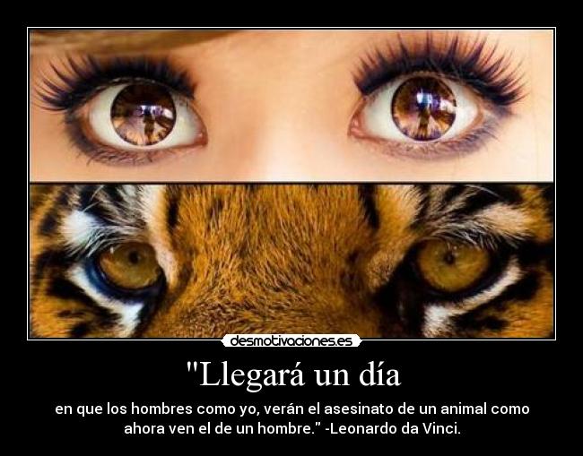 carteles bbjdfs intruders desmotivaciones