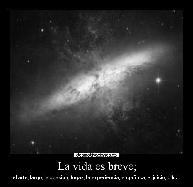 La vida es breve; - 