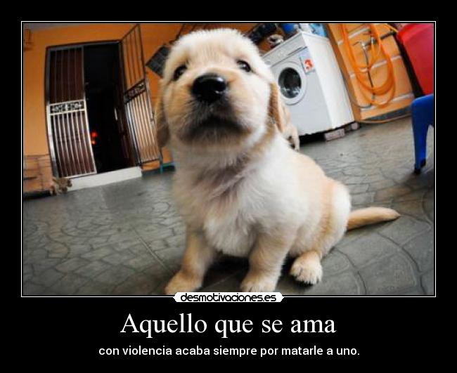 Aquello que se ama - con violencia acaba siempre por matarle a uno.