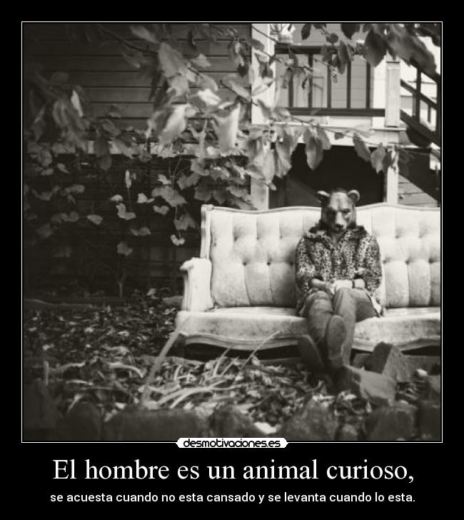 El hombre es un animal curioso, -