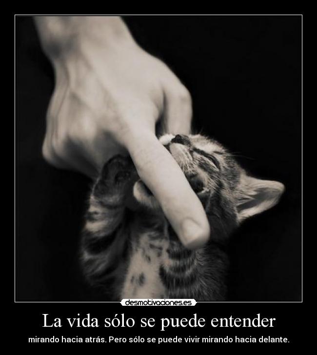 La vida sólo se puede entender - mirando hacia atrás. Pero sólo se puede vivir mirando hacia delante.