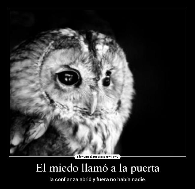 El miedo llamó a la puerta - 