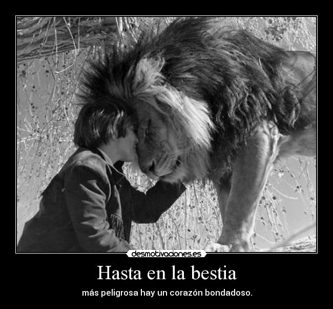 Hasta en la bestia -