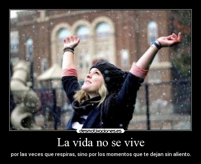 La vida no se vive -