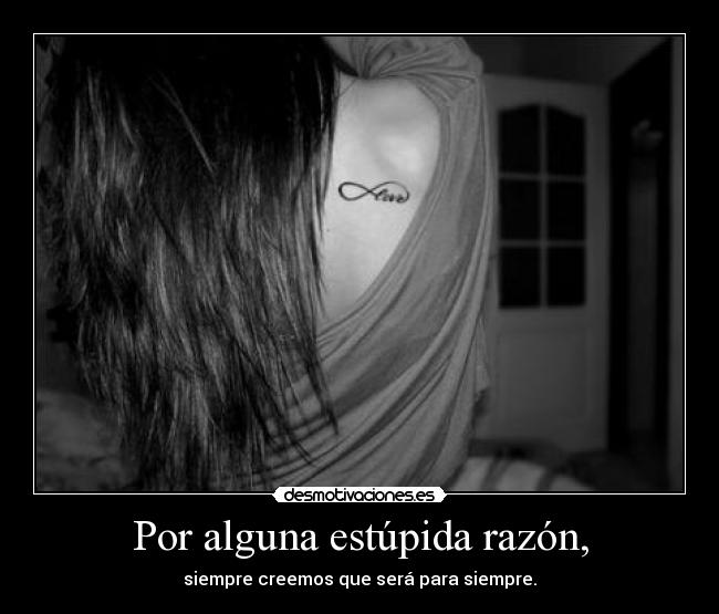 Por alguna estúpida razón, - 