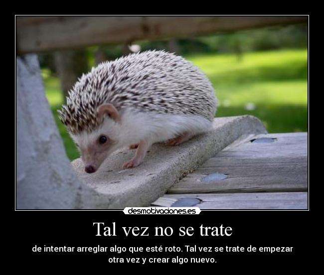 Tal vez no se trate - de intentar arreglar algo que esté roto. Tal vez se trate de empezar
otra vez y crear algo nuevo.