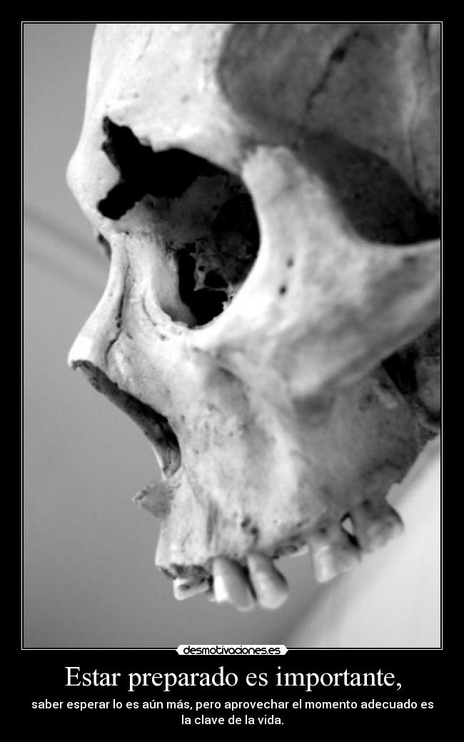 carteles toda lengua templo que esta encerrada alma del que habla nomiresaqui desmotivaciones