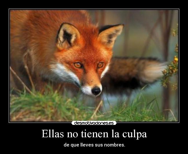 Ellas no tienen la culpa - 