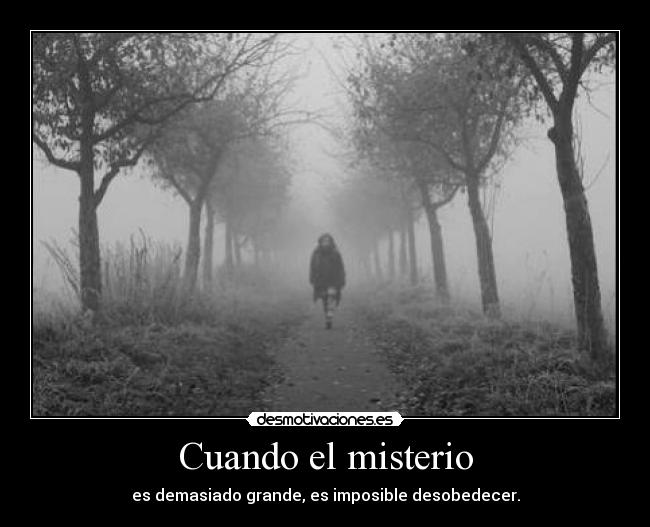 Cuando el misterio - 