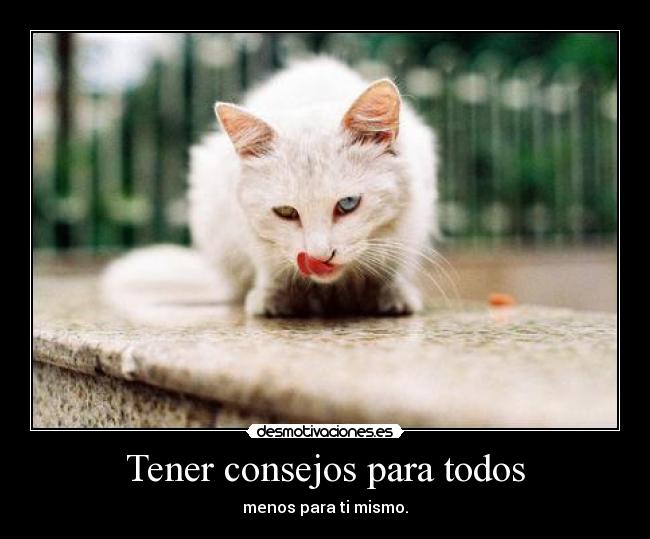 Tener consejos para todos -