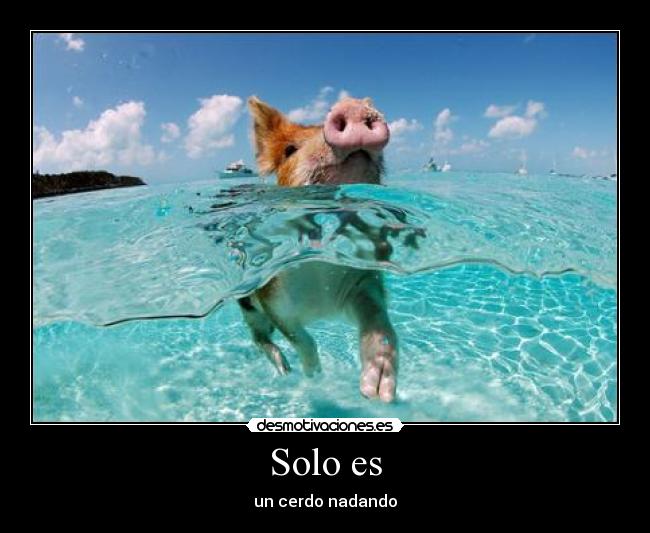 Solo es - 
