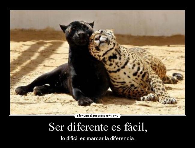 Ser diferente es fácil, - lo dificil es marcar la diferencia.