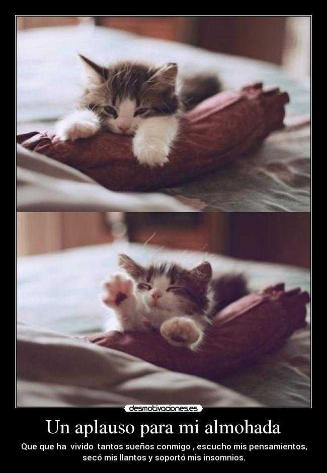 Un aplauso para mi almohada - 