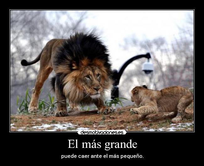 El más grande -