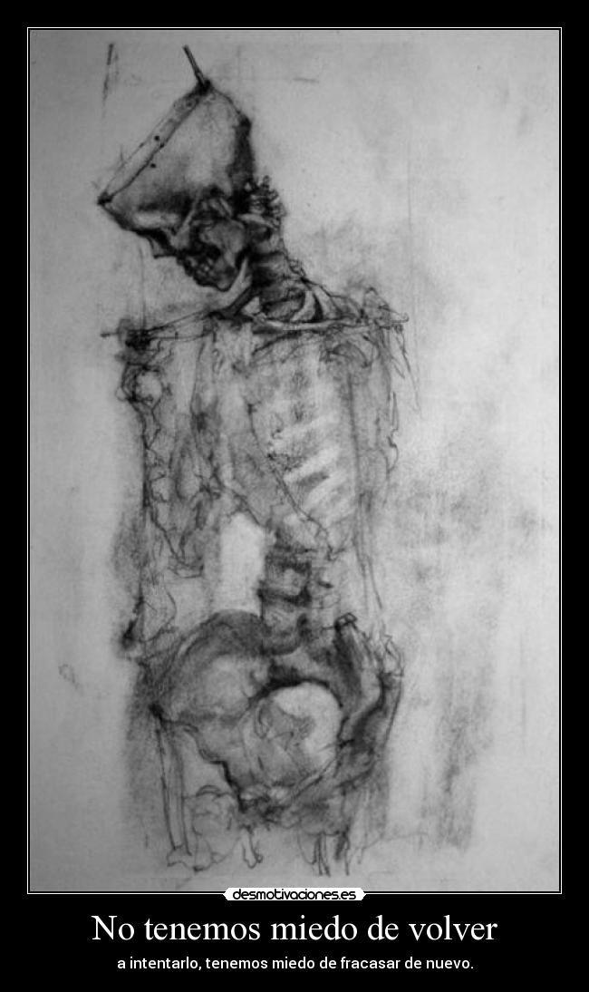 No tenemos miedo de volver - a intentarlo, tenemos miedo de fracasar de nuevo.