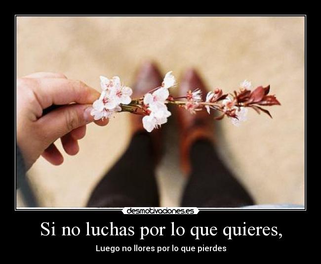 Si no luchas por lo que quieres, - 