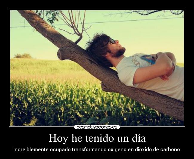 Hoy he tenido un día -