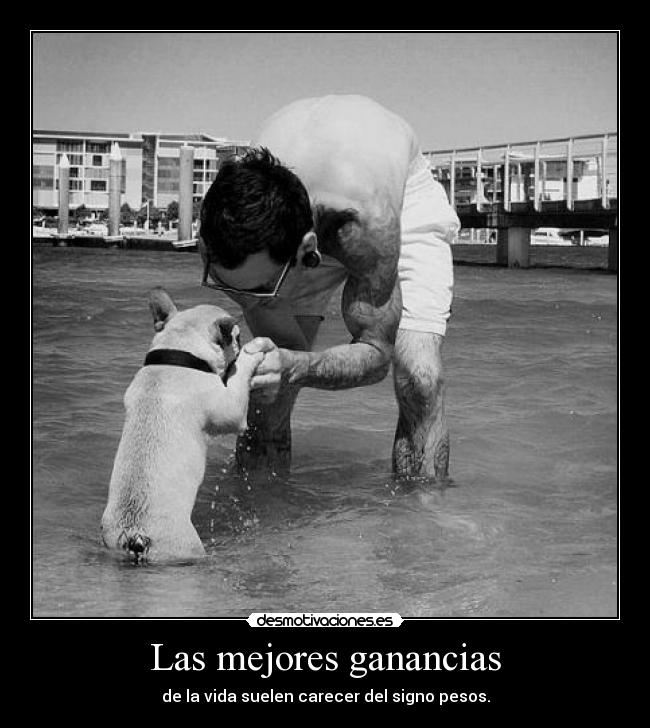 carteles anga1213 truluru clandesplazado hachi luna lucy chiqui cliffor los amo perros desmotivaciones