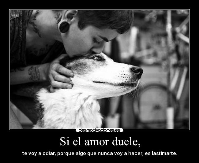 Si el amor duele, - 