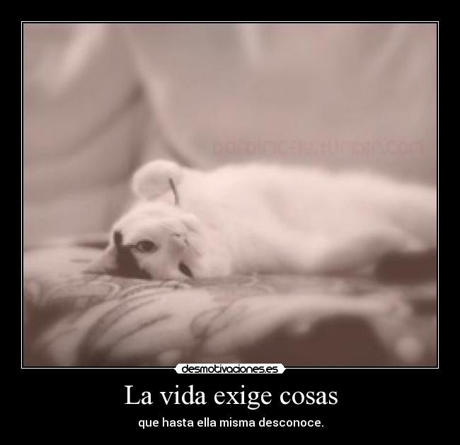 La vida exige cosas - 