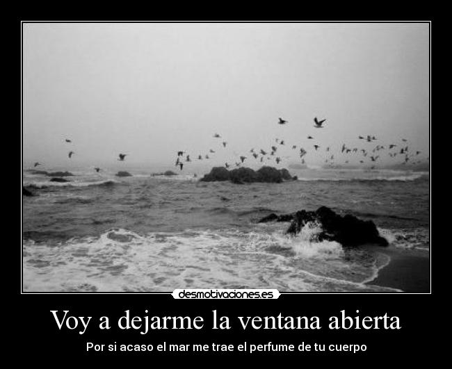 Voy a dejarme la ventana abierta -