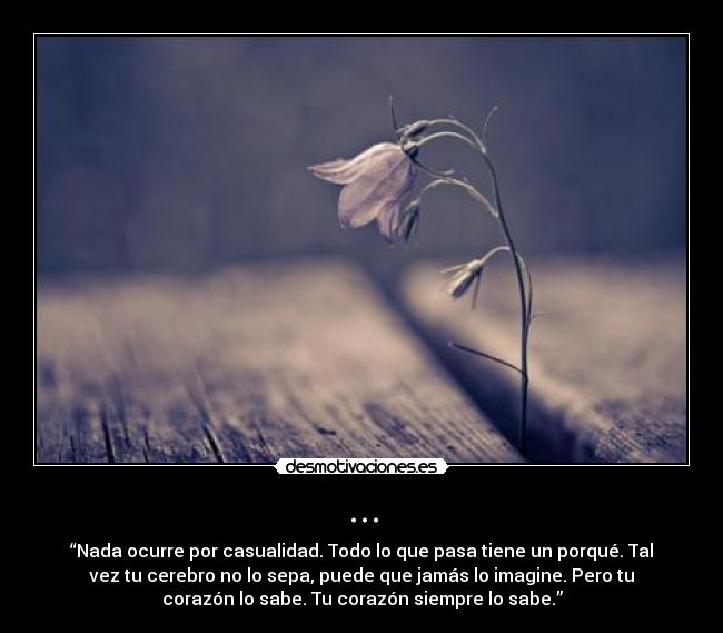 ... - “Nada ocurre por casualidad. Todo lo que pasa tiene un porqué. Tal
vez tu cerebro no lo sepa, puede que jamás lo imagine. Pero tu
corazón lo sabe. Tu corazón siempre lo sabe.”