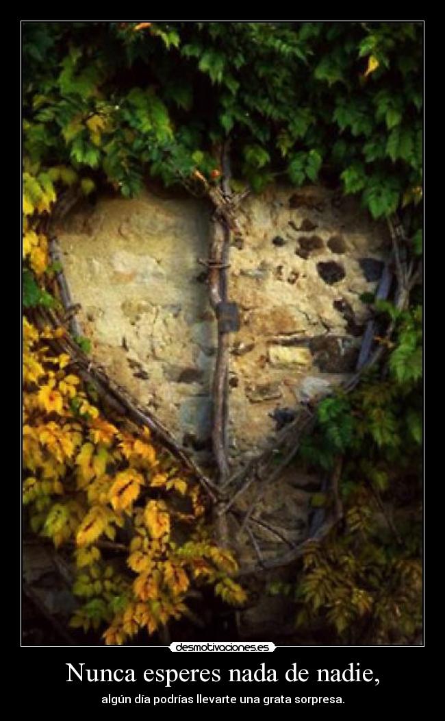 Nunca esperes nada de nadie, - algún día podrías llevarte una grata sorpresa.