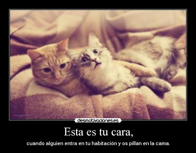 Esta es tu cara, - cuando alguien entra en tu habitación y os pillan en la cama.