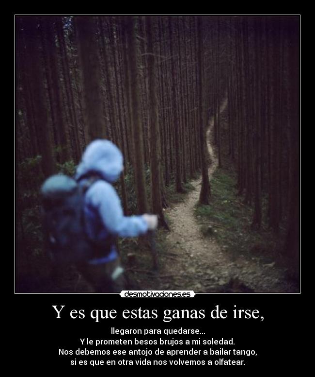 Y es que estas ganas de irse, - llegaron para quedarse...
Y le prometen besos brujos a mi soledad.
Nos debemos ese antojo de aprender a bailar tango,
si es que en otra vida nos volvemos a olfatear.