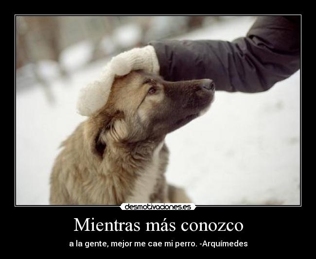 Mientras más conozco - a la gente, mejor me cae mi perro. -Arquímedes