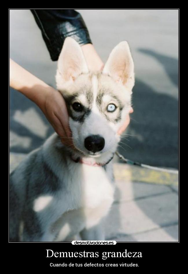 Demuestras grandeza - 