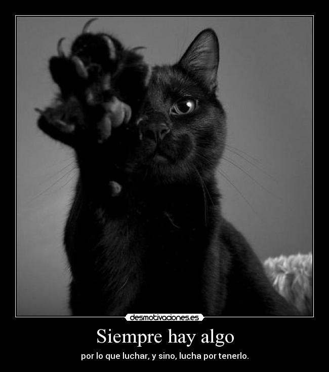 carteles sonrisarota desmotivaciones