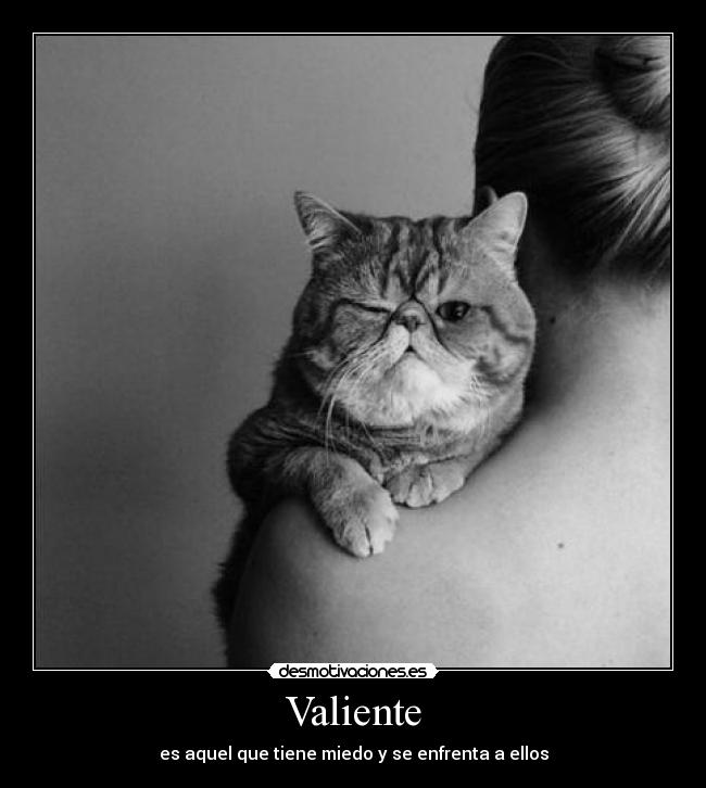 Valiente - es aquel que tiene miedo y se enfrenta a ellos