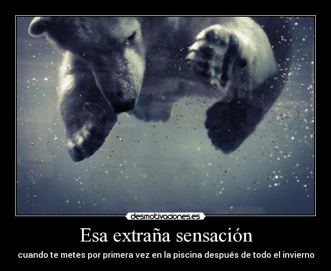 Esa extraña sensación - cuando te metes por primera vez en la piscina después de todo el invierno