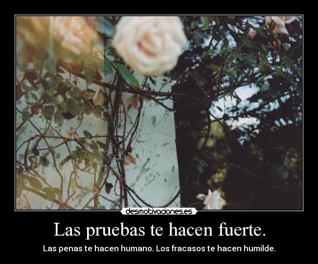Las pruebas te hacen fuerte. - Las penas te hacen humano. Los fracasos te hacen humilde.