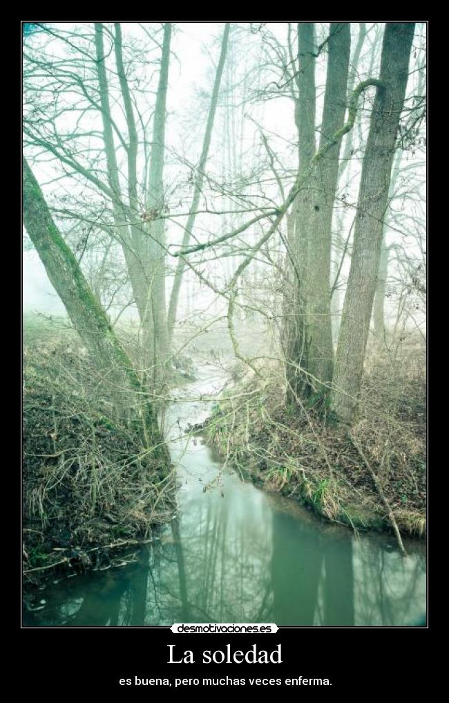 La soledad - es buena, pero muchas veces enferma.