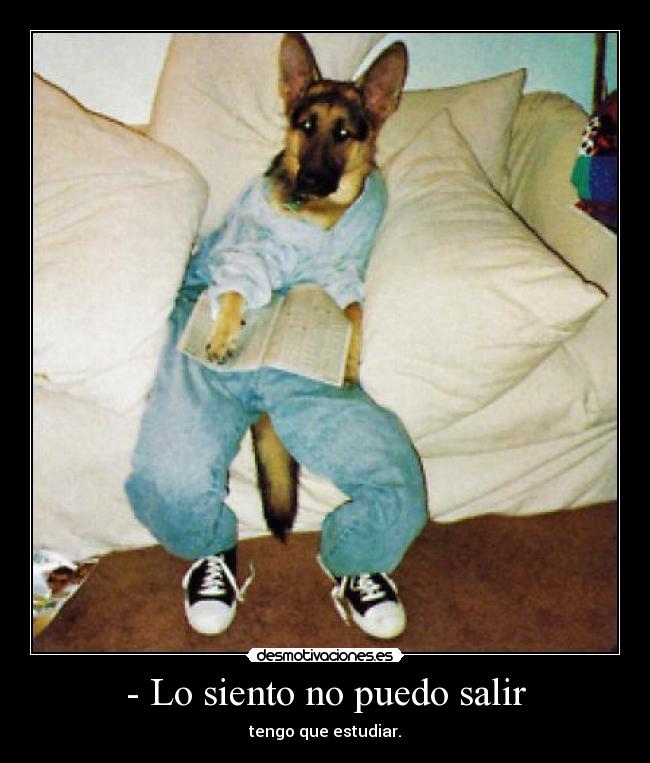 carteles iristello intruders hoya carteles chorra por que que mierdas hacer desmotivaciones