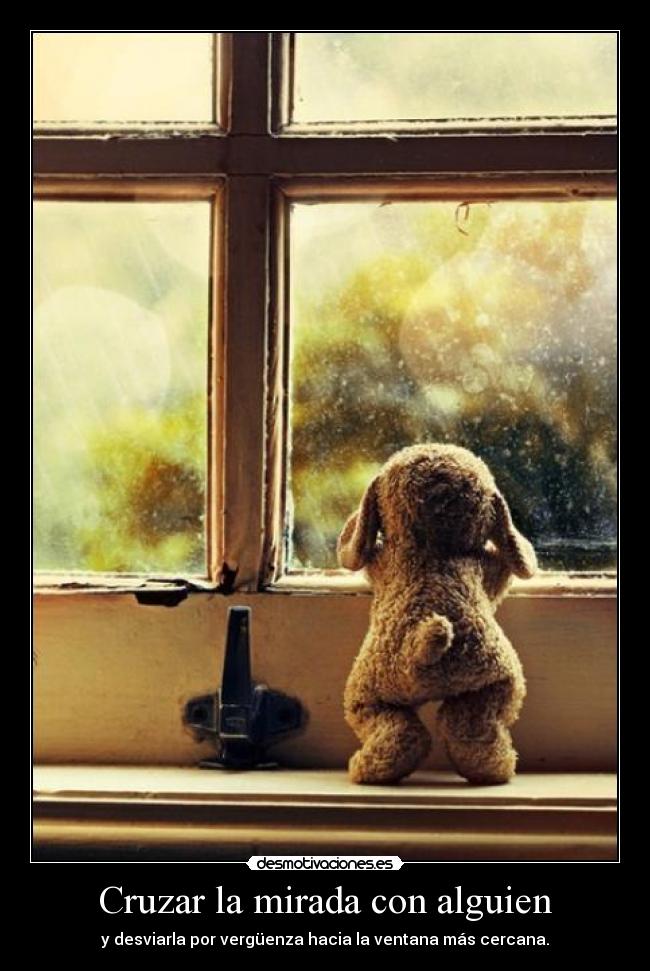Cruzar la mirada con alguien - y desviarla por vergüenza hacia la ventana más cercana.