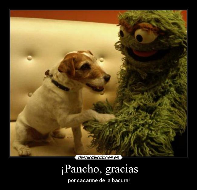 ¡Pancho, gracias - por sacarme de la basura!