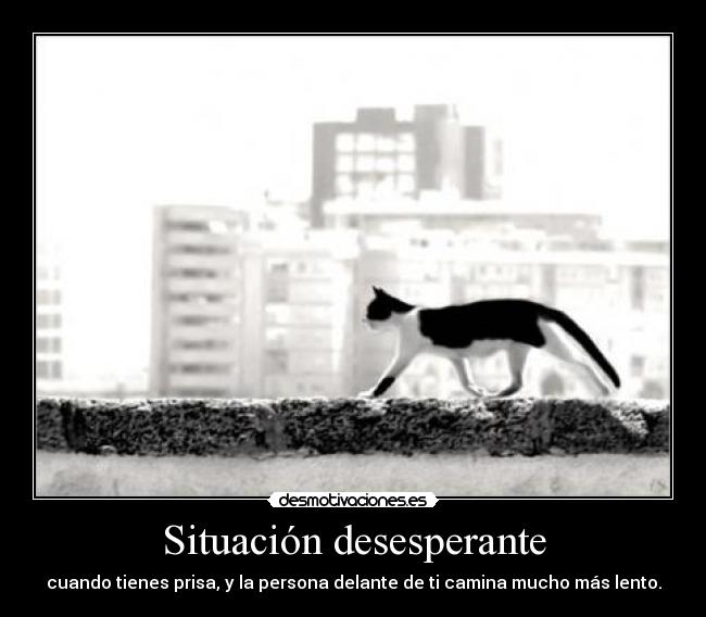 Situación desesperante -