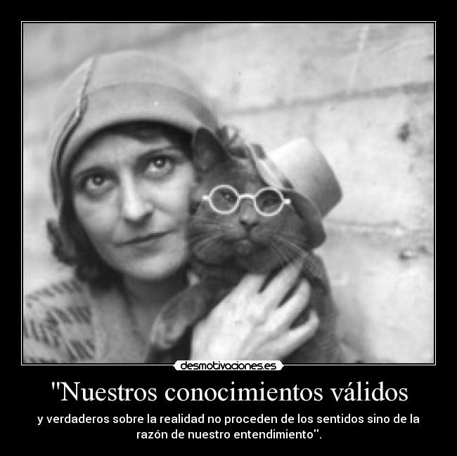 carteles busca principal desmotivaciones