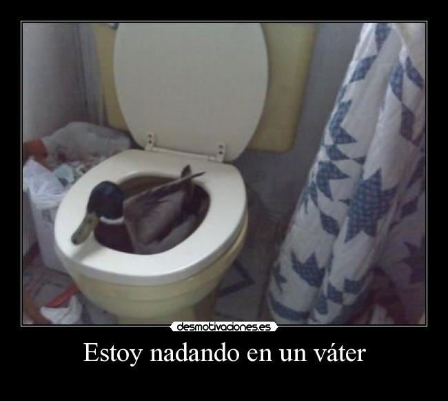 Estoy nadando en un váter - 