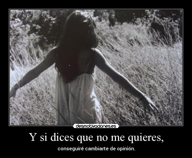 carteles dices que quieres conseguire cambiarte opinion desmotivaciones