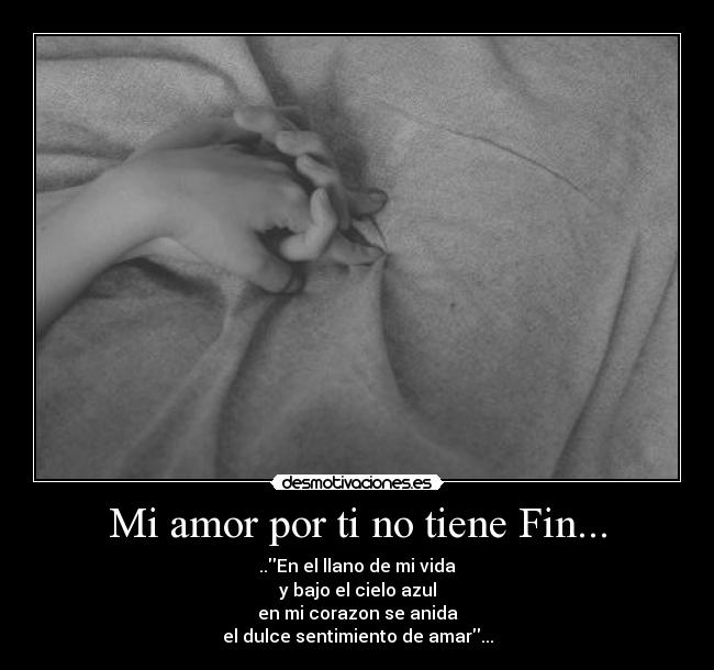 Mi amor por ti no tiene Fin... -