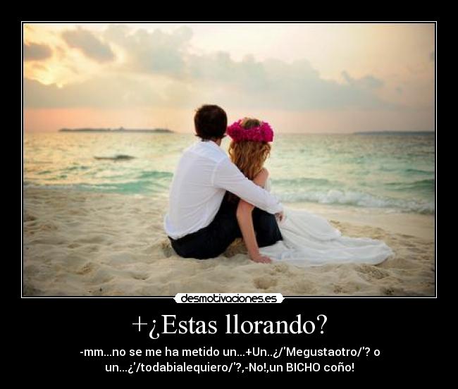 +¿Estas llorando? - -mm...no se me ha metido un...+Un..¿/Megustaotro/? o
un...¿/todabialequiero/?,-No!,un BICHO coño!