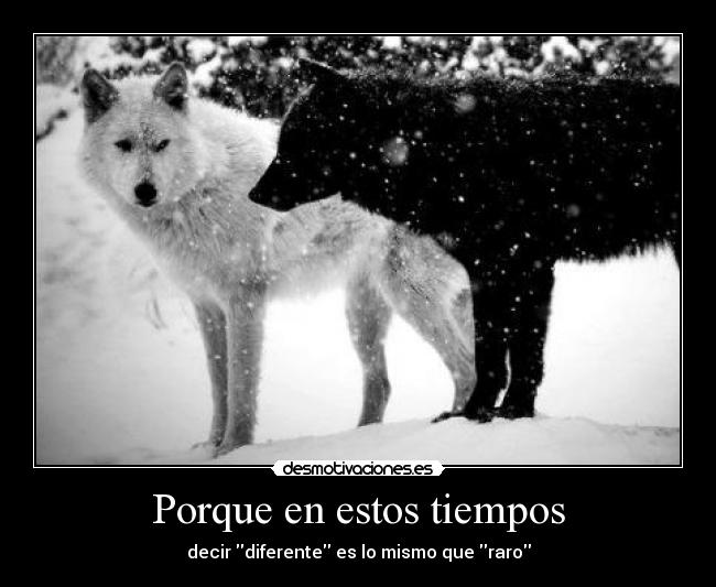 Porque en estos tiempos -